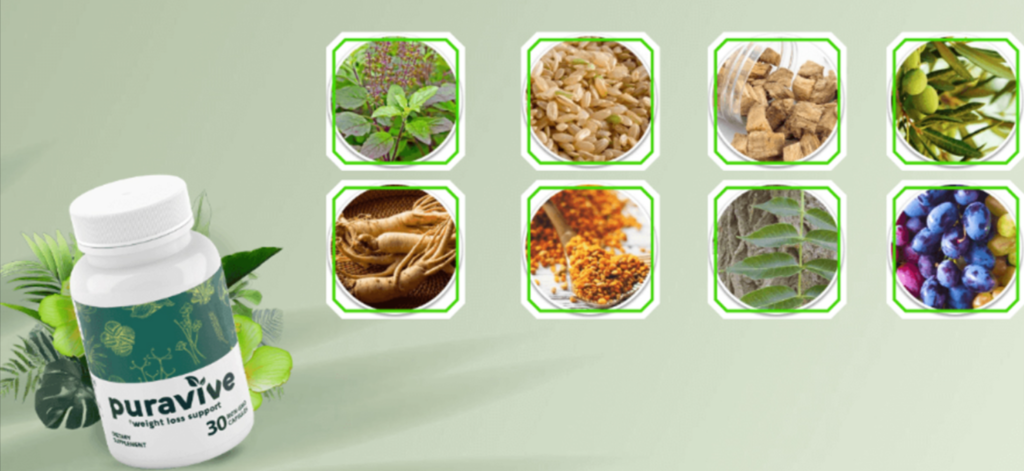 Puravive list of ingredients